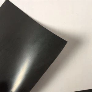 एचडीपीई ड्रेनेज Geomembrane